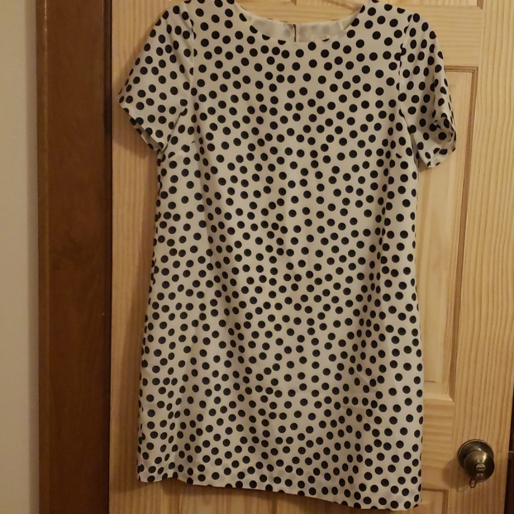 J. Crew Polka Dot Shift Dress